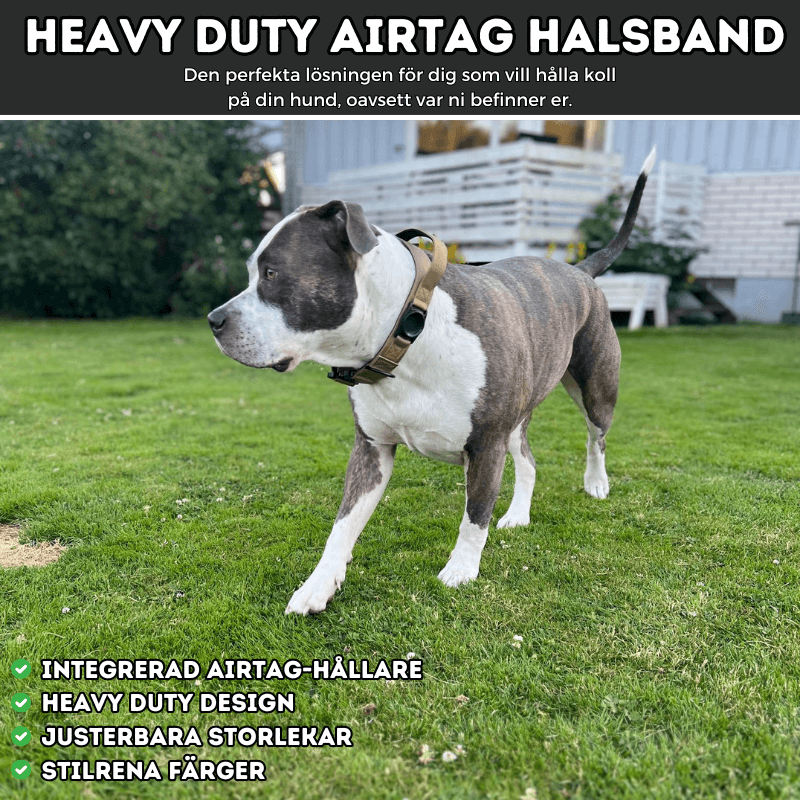 Heavy Duty Airtag halsband