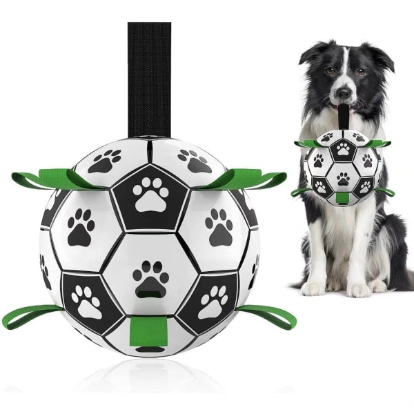 Hundfotboll