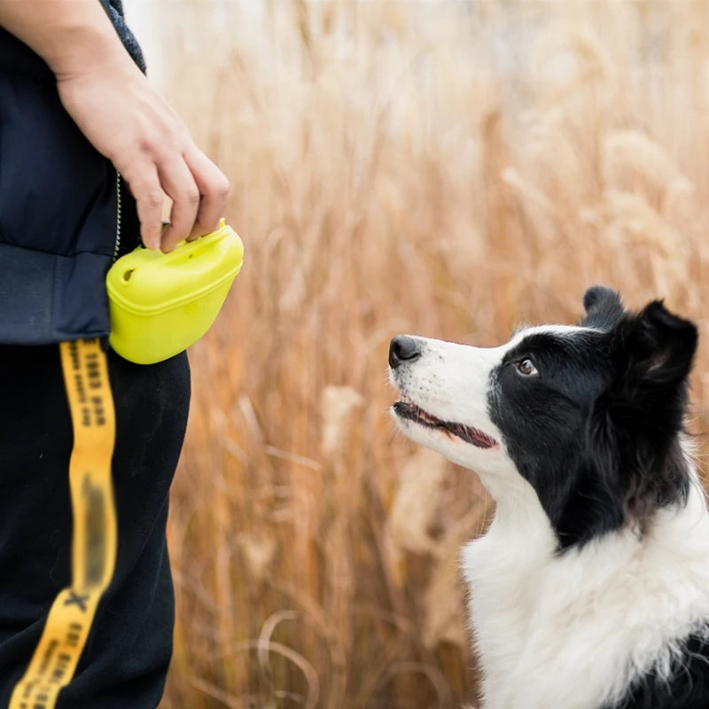 PetTreat Bag