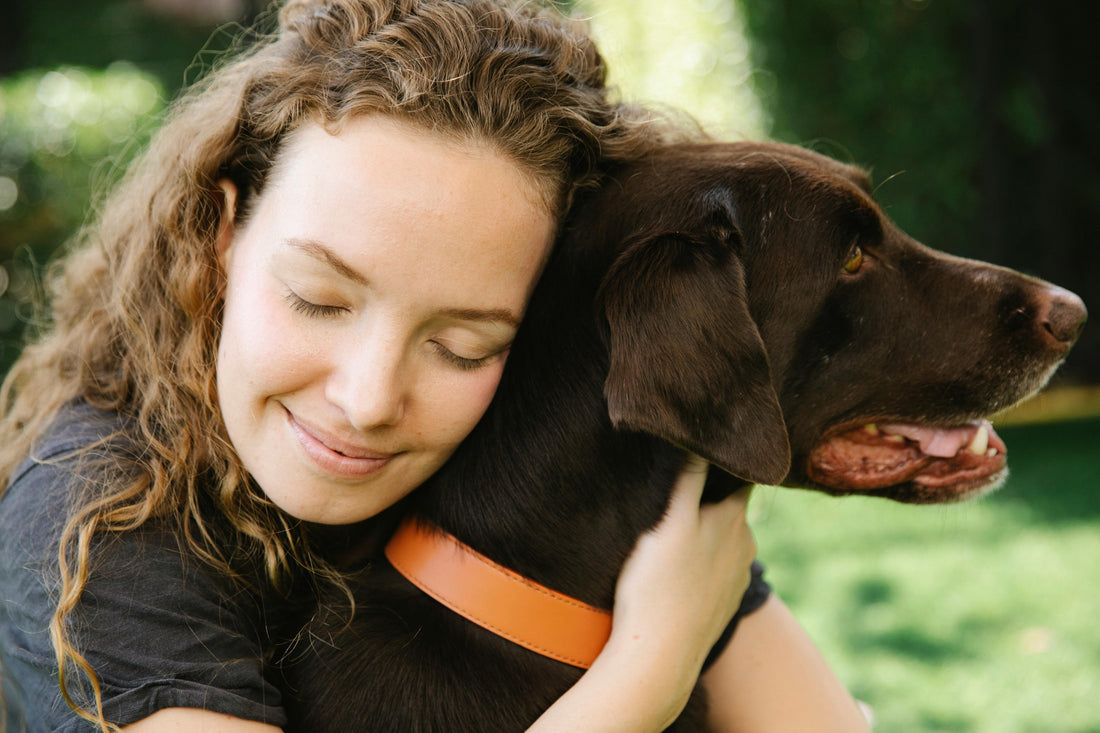 Så Mäter Du Din Hund För Perfekt Passform På Selar, Halsband Och Koppel