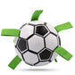 Hundfotboll