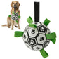 Hundfotboll