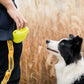 PetTreat Bag